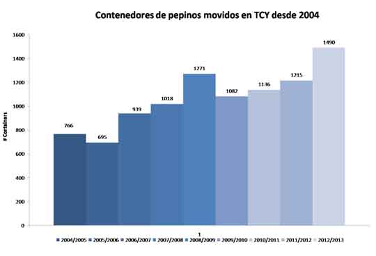 TCY-gráfico contenedores pepinos